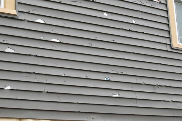 Best Historical Building Siding Restoration  in Newman, CA