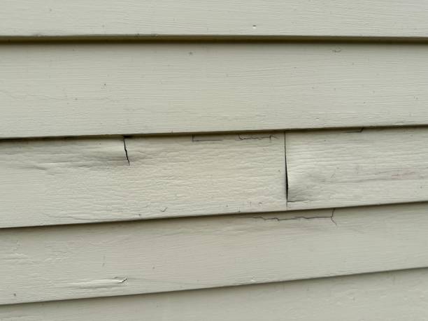 Best Residential Vinyl Siding Installation  in Newman, CA